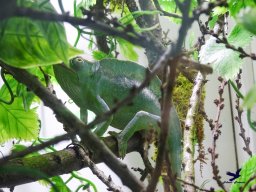 Tiergarten Schönbrunn am 03.10.2025